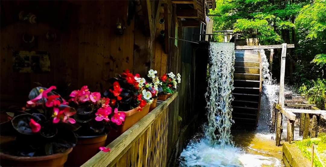 Casa Morii Ohaba Βίλα Εξωτερικό φωτογραφία