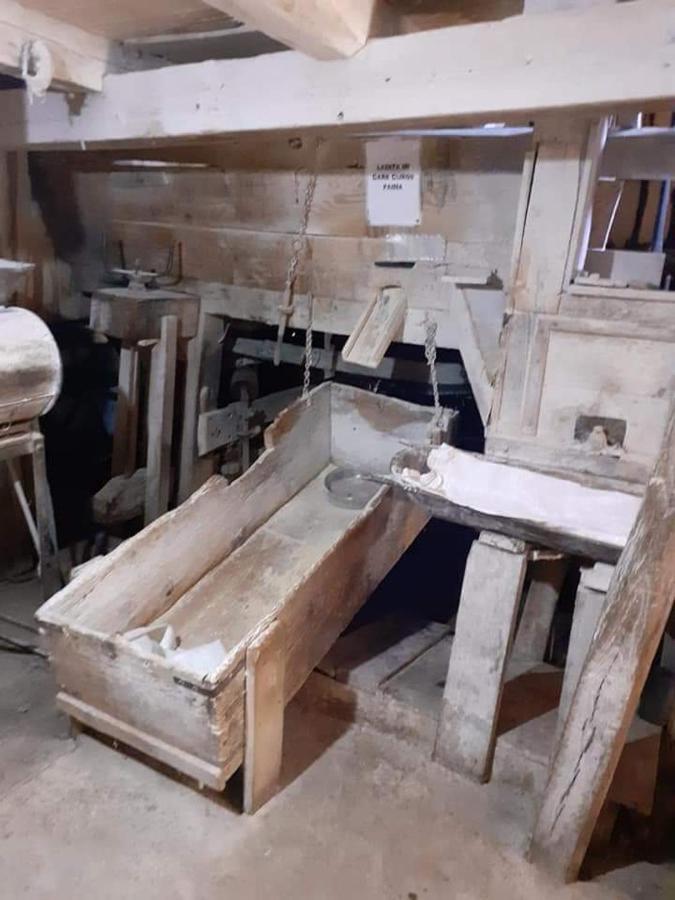 Casa Morii Ohaba Βίλα Εξωτερικό φωτογραφία