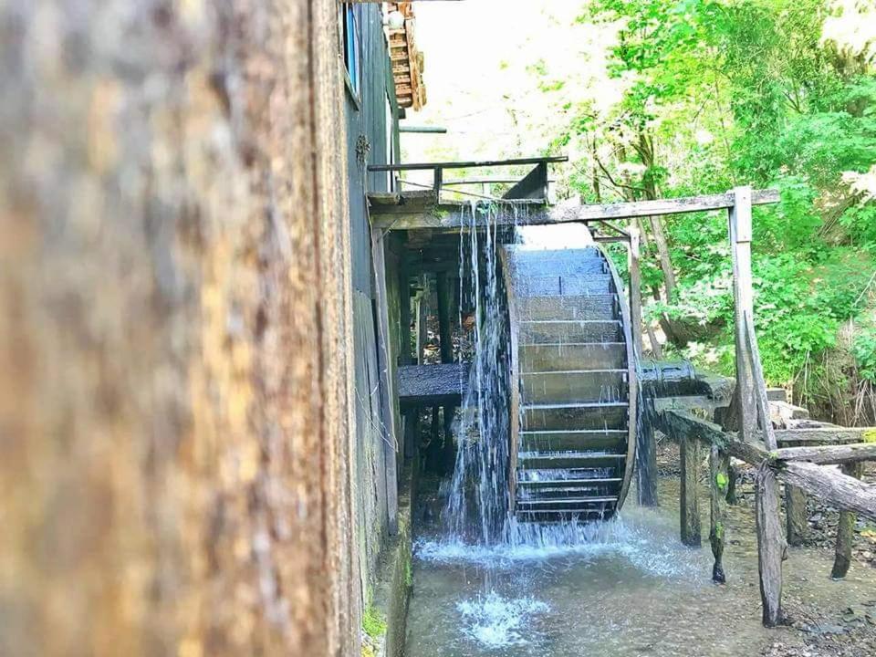 Casa Morii Ohaba Βίλα Εξωτερικό φωτογραφία