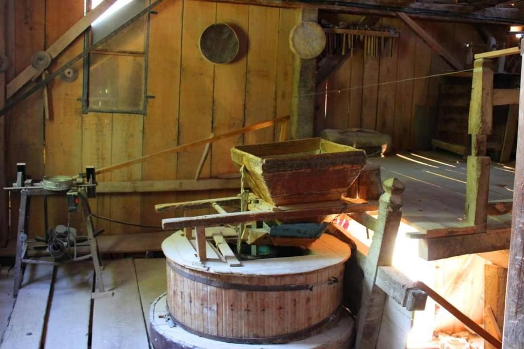 Casa Morii Ohaba Βίλα Εξωτερικό φωτογραφία