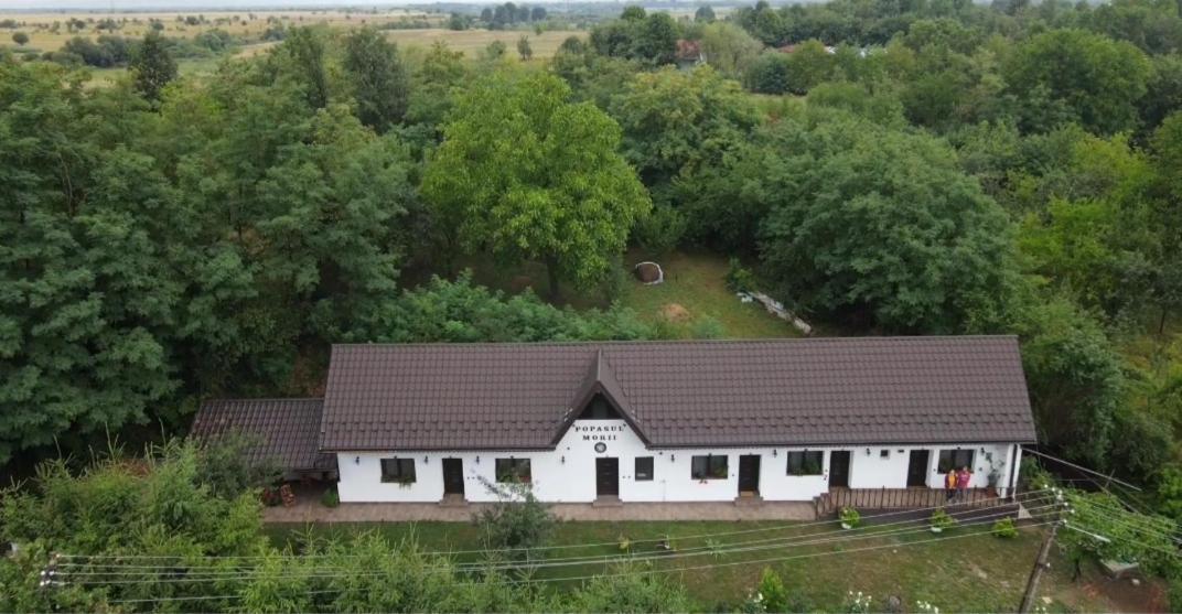 Casa Morii Ohaba Βίλα Εξωτερικό φωτογραφία