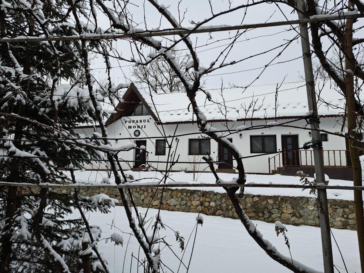 Casa Morii Ohaba Βίλα Εξωτερικό φωτογραφία
