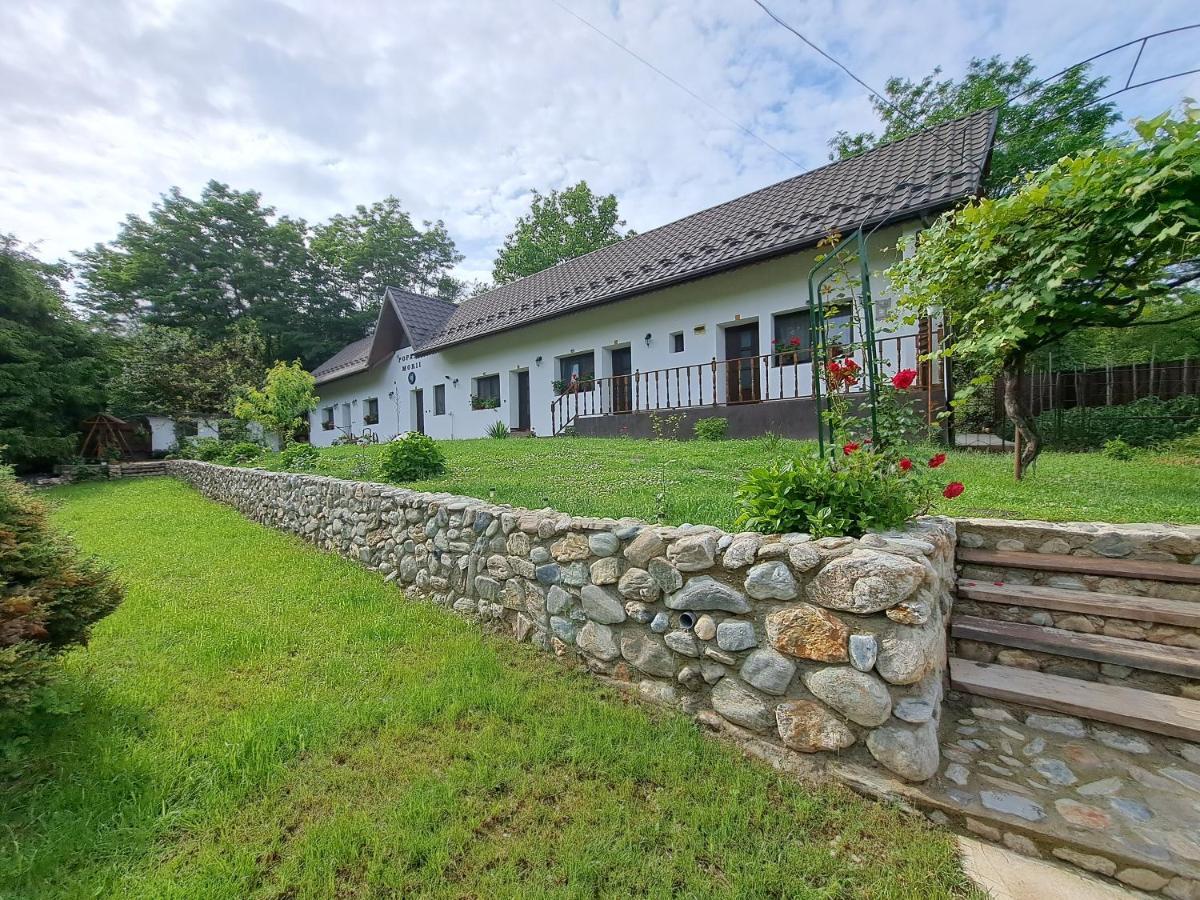 Casa Morii Ohaba Βίλα Εξωτερικό φωτογραφία